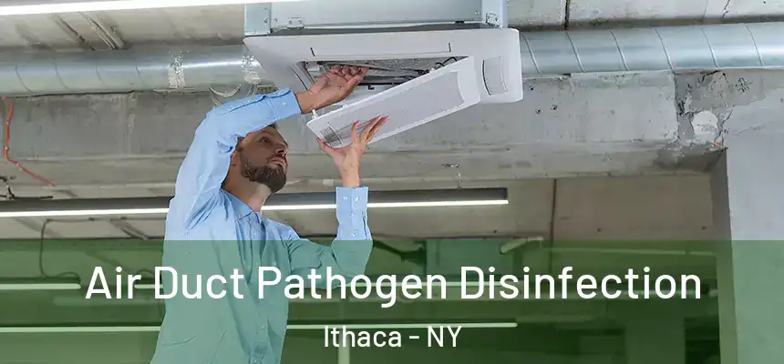  Air Duct Pathogen Disinfection Ithaca - NY
