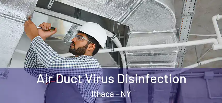  Air Duct Virus Disinfection Ithaca - NY