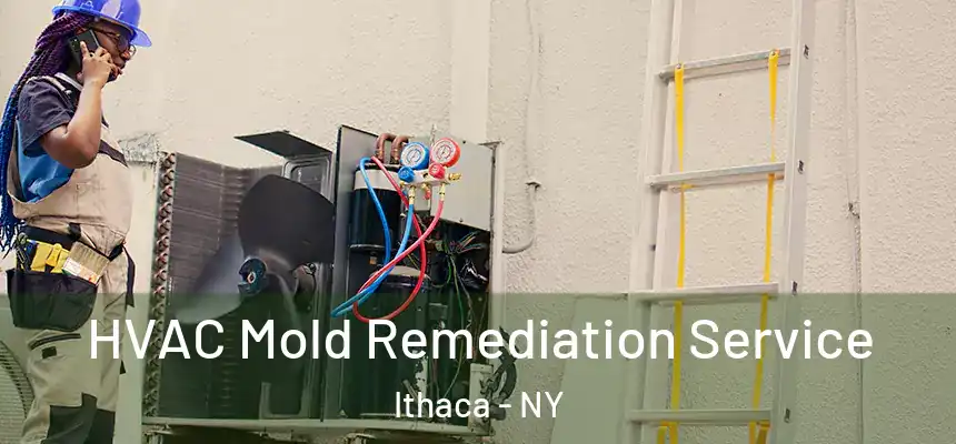 HVAC Mold Remediation Service Ithaca - NY