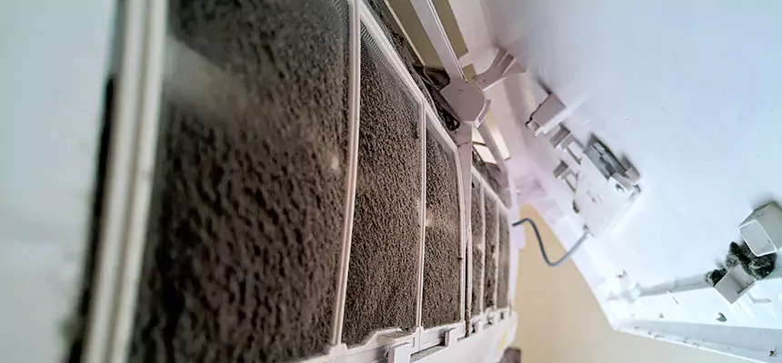 Preventive Air Duct Bacteria Removal in Ithaca