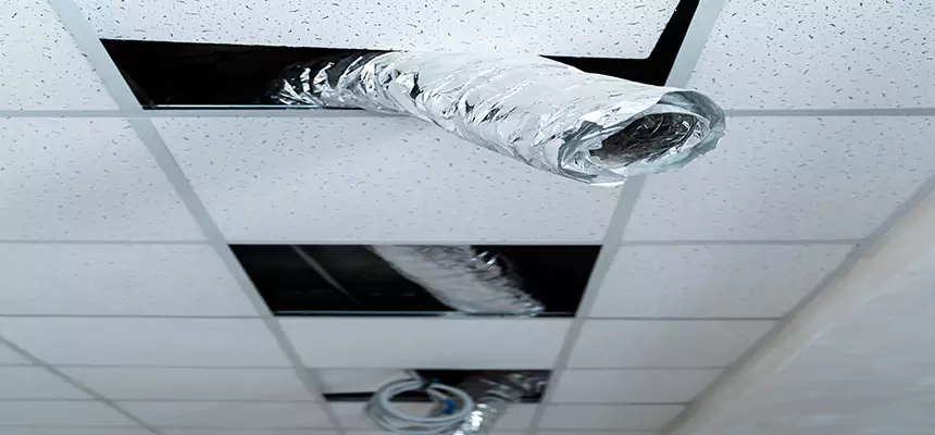 Affordable HVAC Sanitizing After Pest Removal in Ithaca