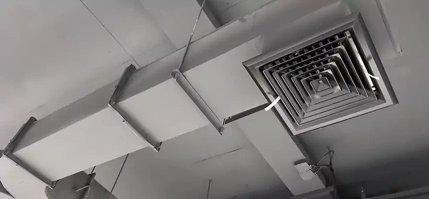 Restorative Allergy Relief Vent Cleaning – Coil, Blower & Housing Detail in Ithaca