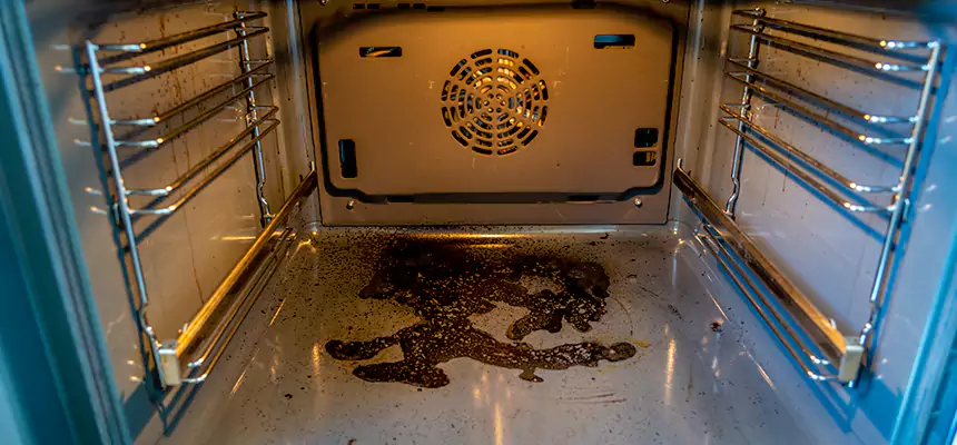 Our Dryer Vent Mold Cleaning Services in Ithaca, NY