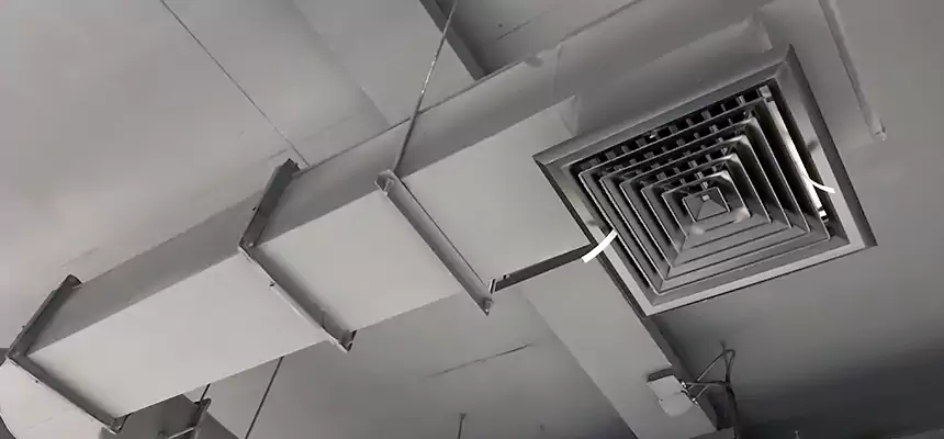 Our Pest Removal From Ducts Services in Ithaca, NY