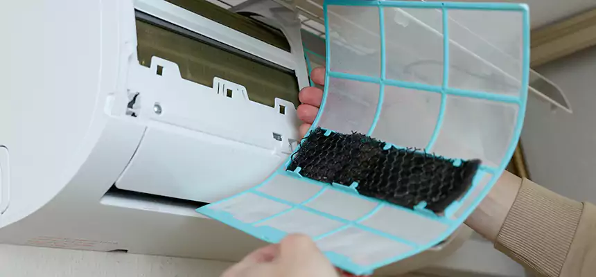 Gentle Ductwork Odor-Control Pet Dander Duct Cleaning in Ithaca, NY