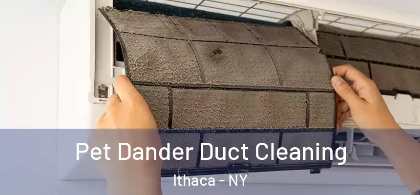  Pet Dander Duct Cleaning Ithaca - NY