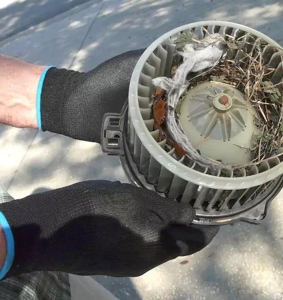 About Air Duct Rat Removal in Ithaca, NY