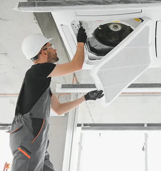 About Air Duct Rodent Removal in Ithaca, NY