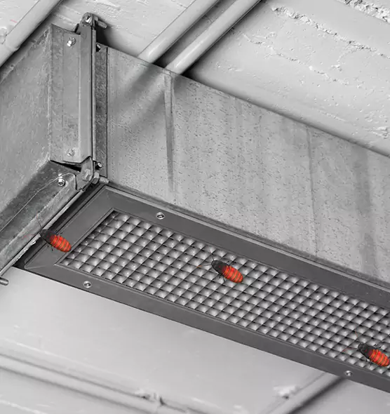 Affordable Insect Removal from Air Ducts in Ithaca, NY