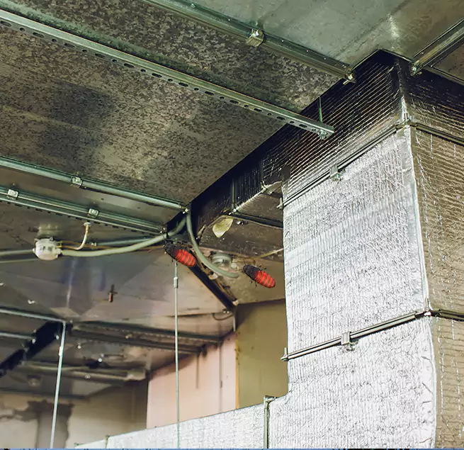 Why Homeowners & Businesses Trust Us in Ithaca, NY?