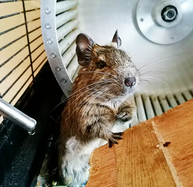 Why Homeowners & Businesses Trust Us Ithaca, NY?