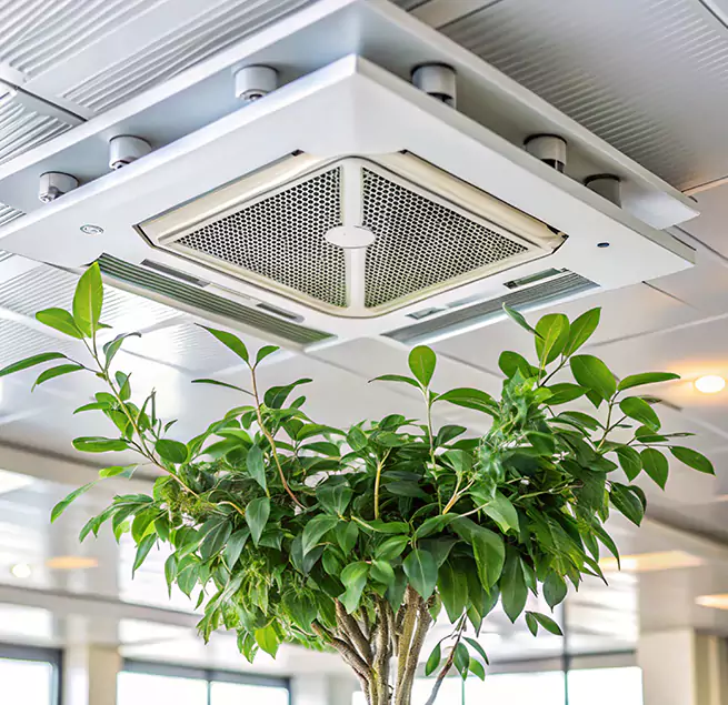 Why Homeowners & Businesses Trust Us in Ithaca, NY